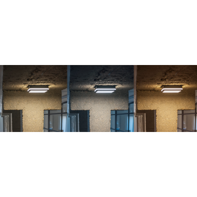 Plafoniera LED BENO 12/18W ciepły/neutralny/zimny grafitowy KANLUX  (38788)